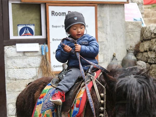 Trekking the Everest Base Camp with Kids