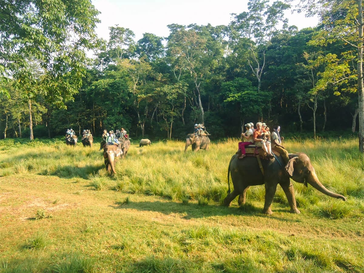 Chitwan Jungle Safari