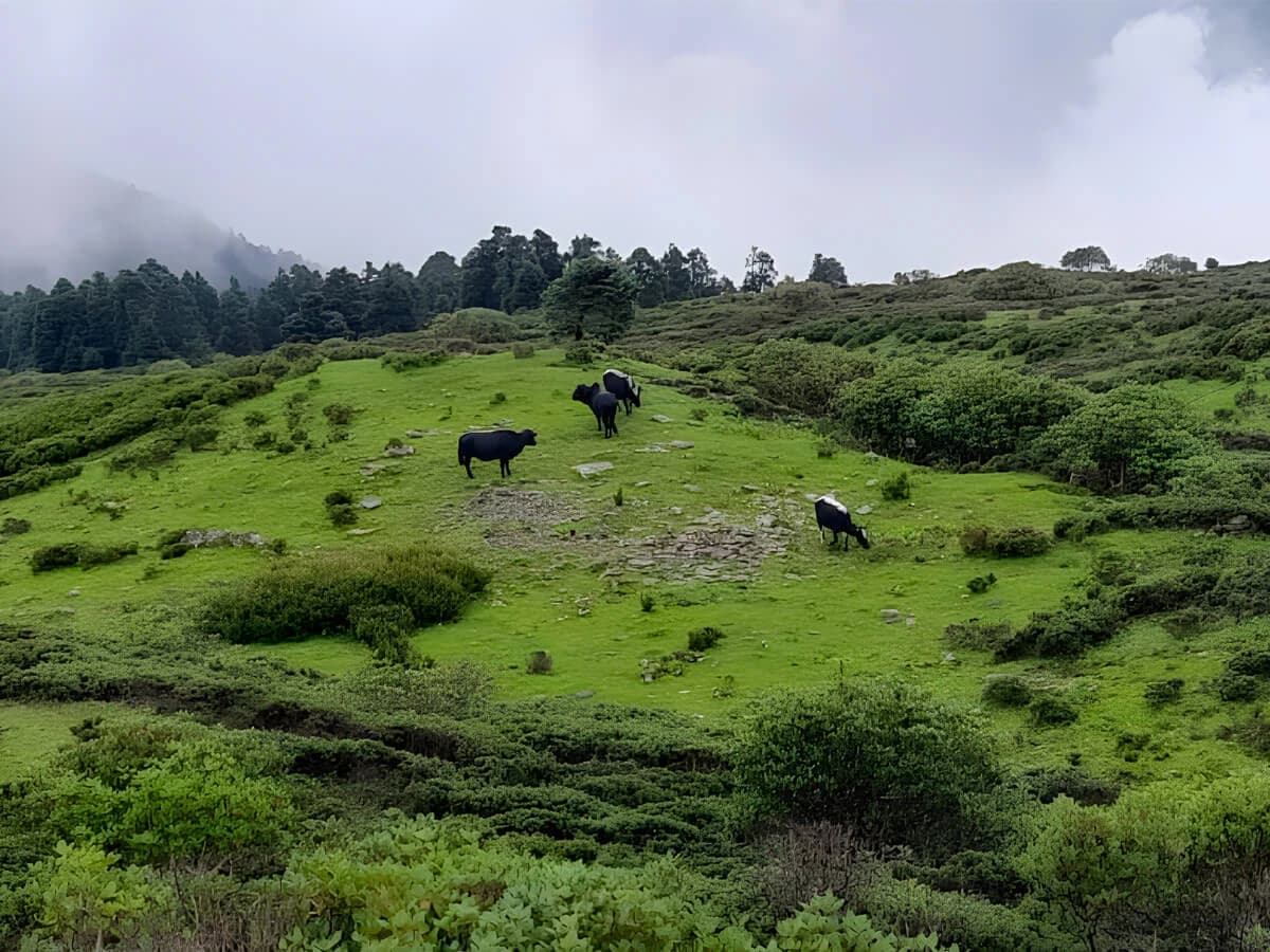 Gosaikunda Trek