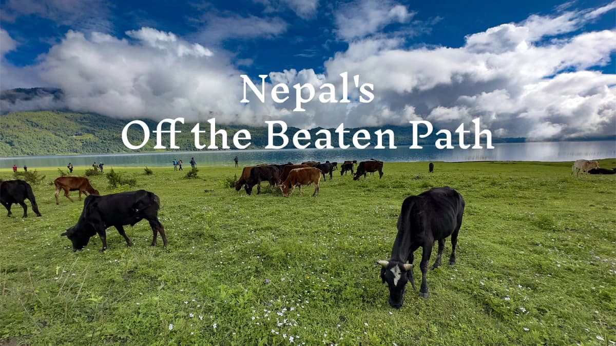 Nepal's Off the Beaten Path - Rara Lake and Bardiya Wildlife Tour