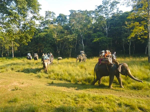 Elephant ride in Chitwan