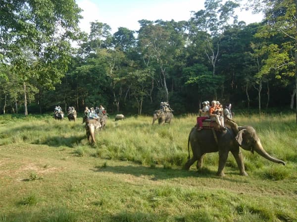 Chitwan Safari