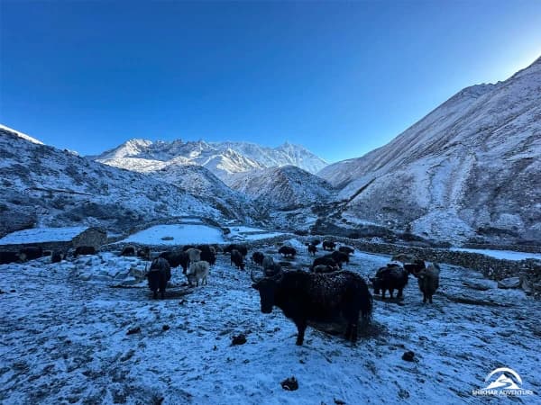 Ebc Trekking