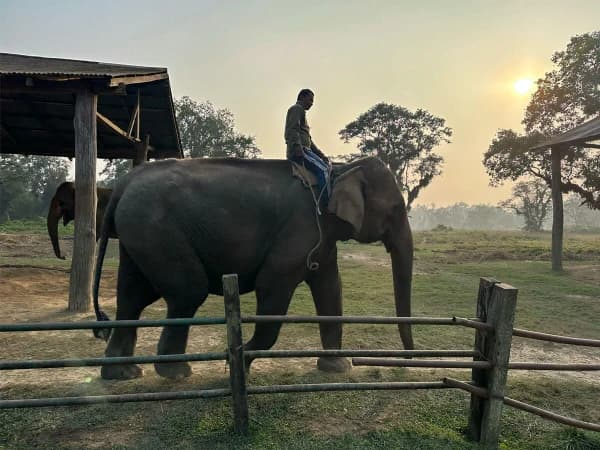 Elephant Breeding Center