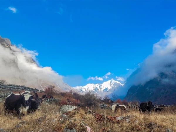 Langtang Valley Trek Image 2