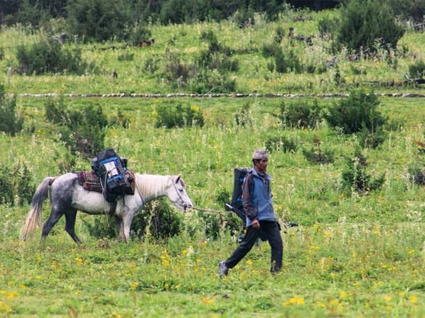 Local Walking With Horse At Rara Lake