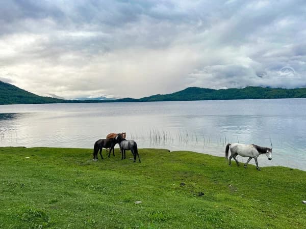Rara Lake 1