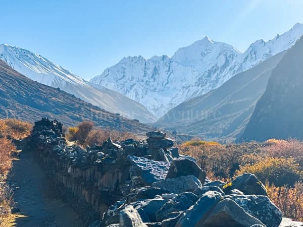 Way To Kyanjin Gompa