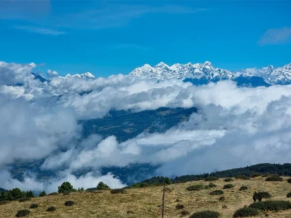View from Pikey Peak